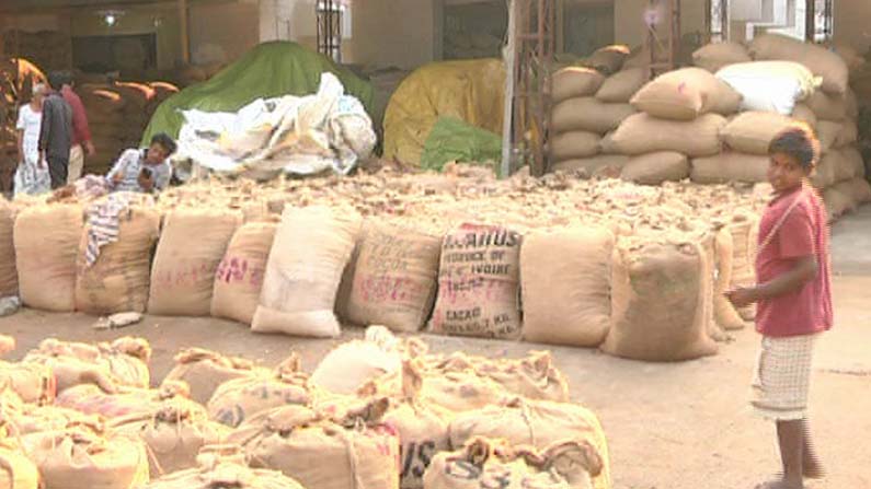 peanuts crop