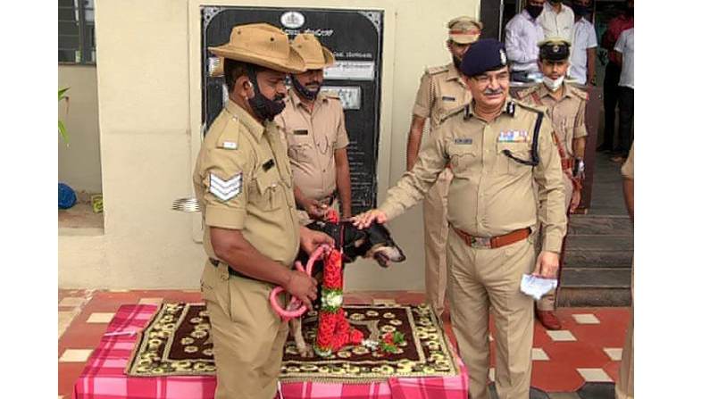 Police Dog Thunga Tunga